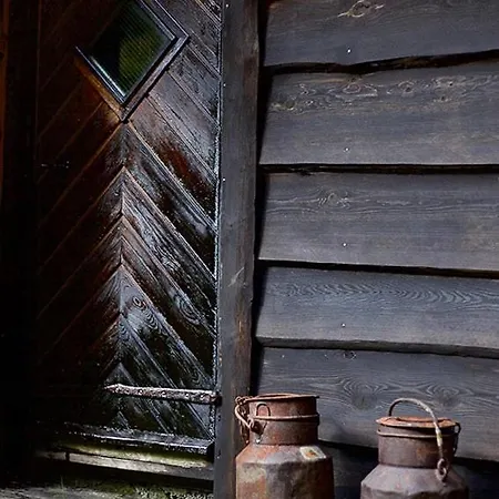 Unique Between Fjord, Waterfall And Mountain