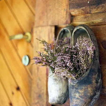 Semesterbostad Unique Between Fjord, Waterfall And Mountain *