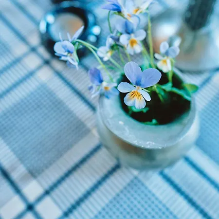 Unique Between Fjord, Waterfall And Mountain Suldalsosen